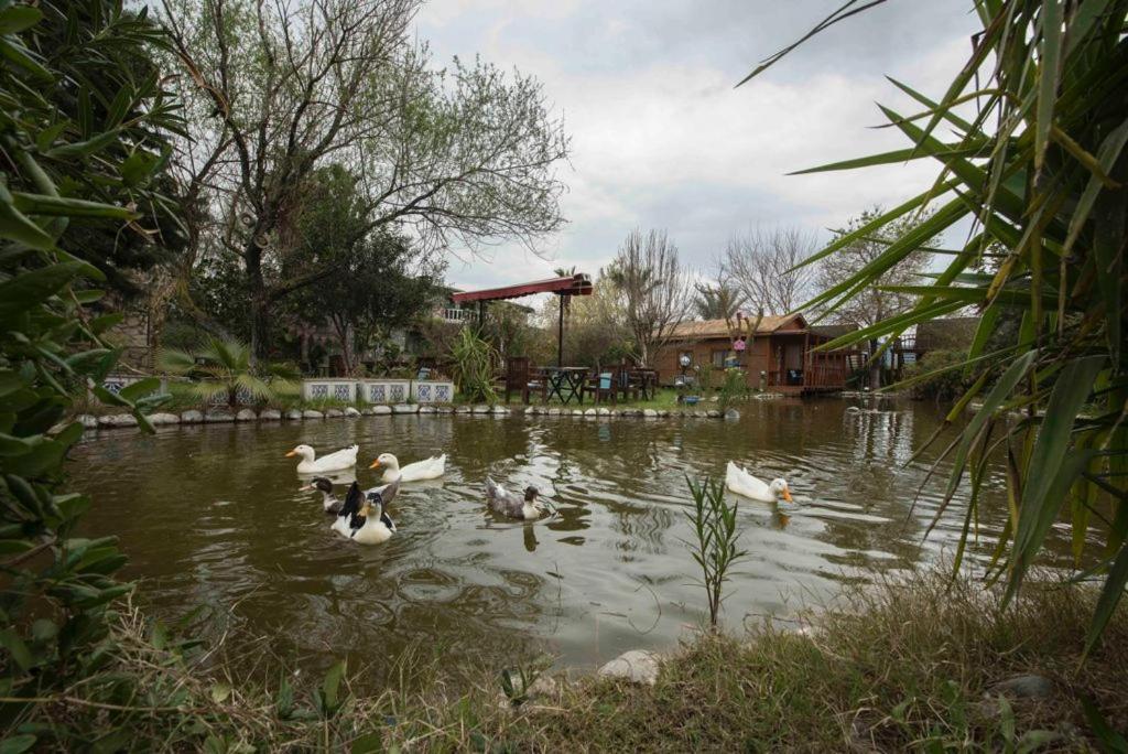 Bed and Breakfast Otantik Tas Ev Dalaman Exterior foto