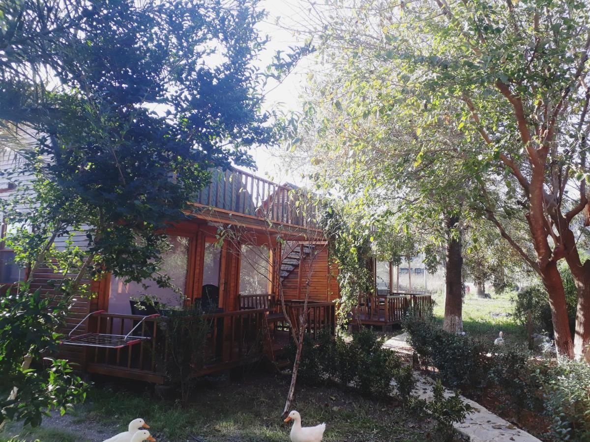 Bed and Breakfast Otantik Tas Ev Dalaman Exterior foto
